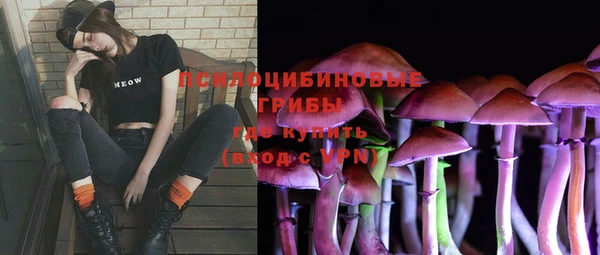 mdpv Пролетарск
