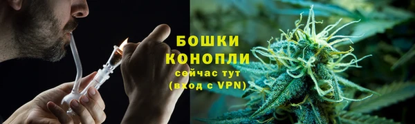 mdpv Пролетарск