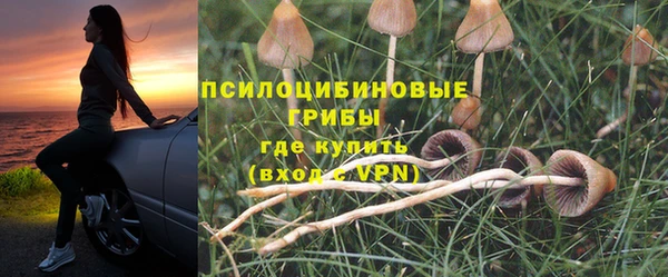 mdma Протвино