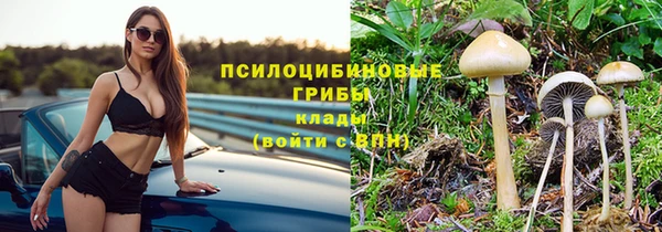 mdpv Пролетарск