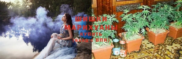 mdpv Пролетарск